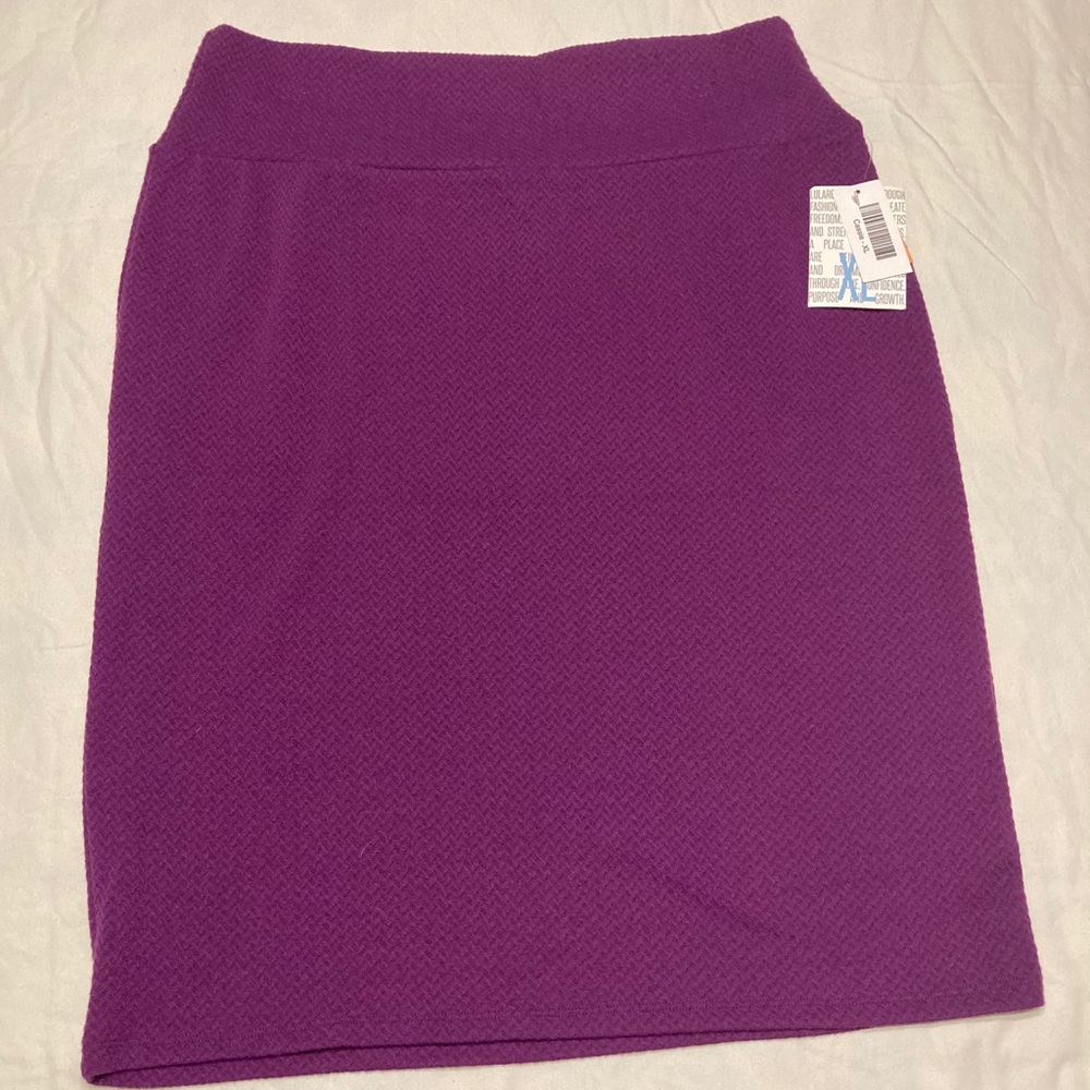 NWT LuLaRoe Cassie Skirt